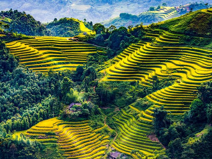 Hotspot Matrix: Biến Người phụ nữ 40 năm hoàn toàn thành cơ hội marketing đột phá
