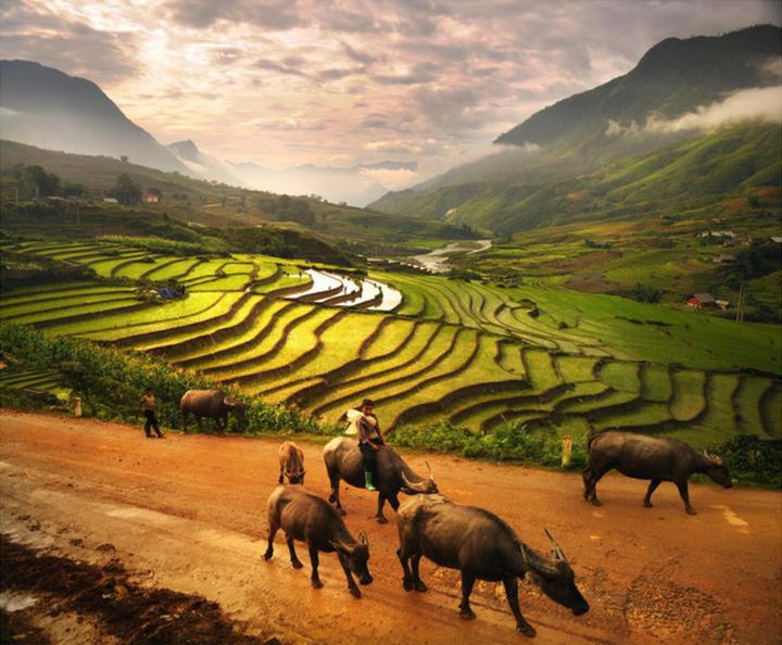 Hotspot Matrix: Biến Chấm điểm loạt “green flags” thành cơ hội marketing đột phá