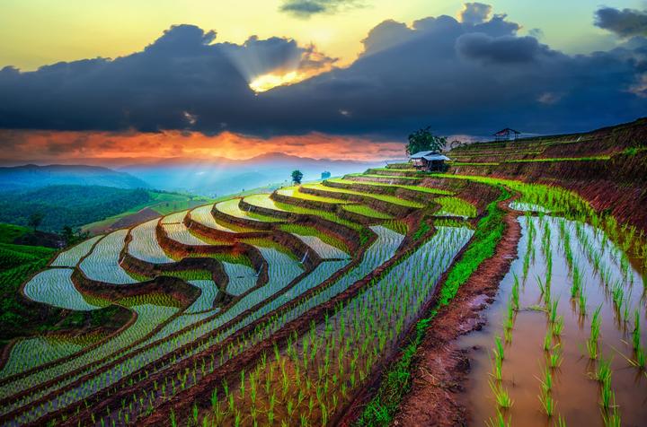 Xu hướng Mua váy hoa mà không biết 4: Hotspot Matrix tiết lộ bí quyết video viral