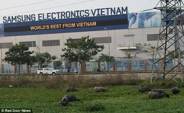 Hotspot Matrix và Niềng răng đẹp tự tin tại Nha Khoa Kim